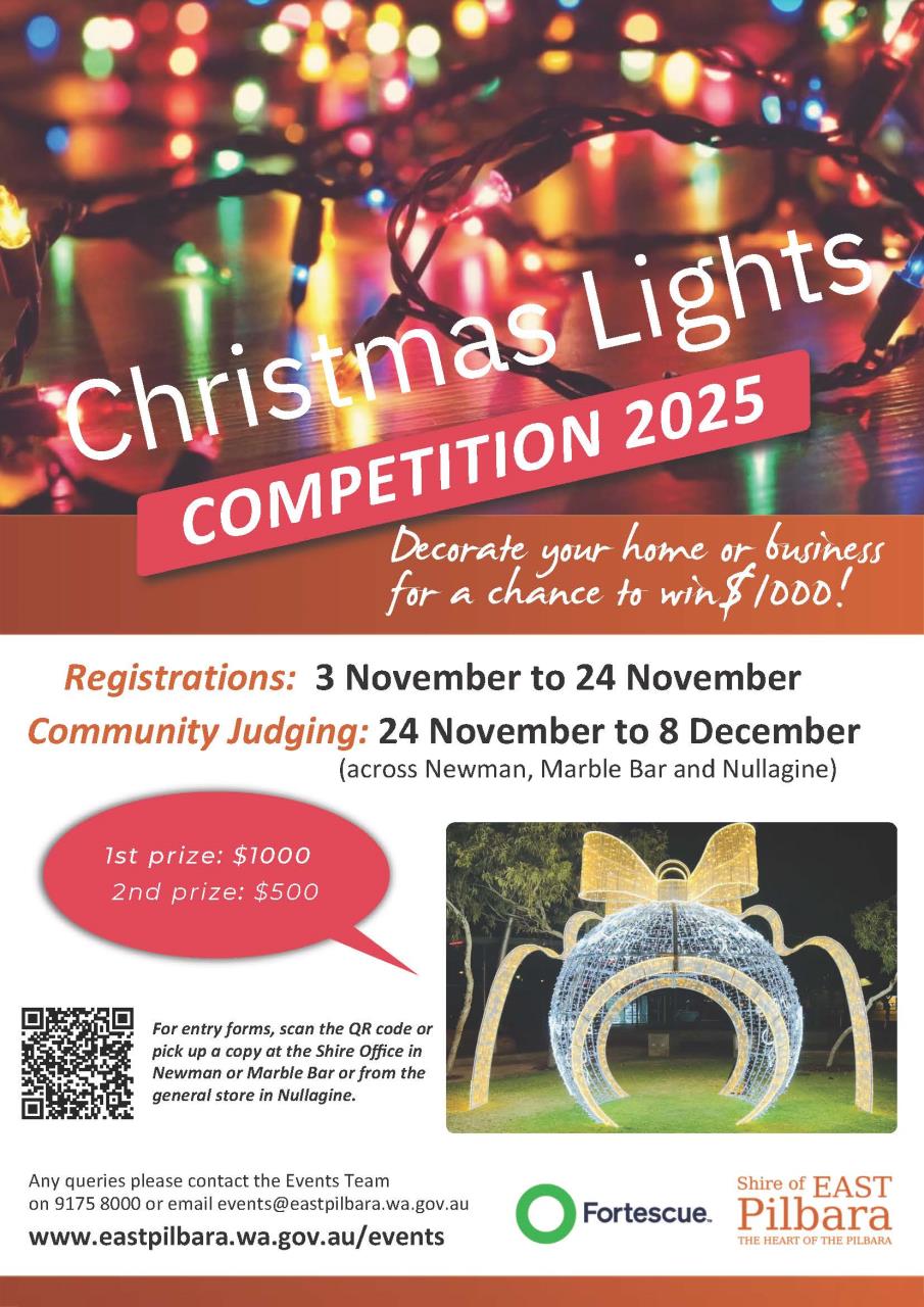 2025 Christmas Lights Competition