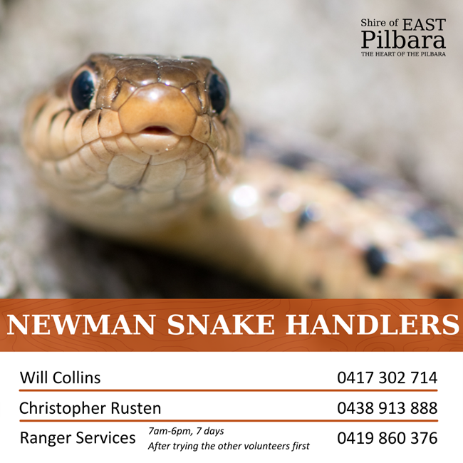 Newman Snake Handlers