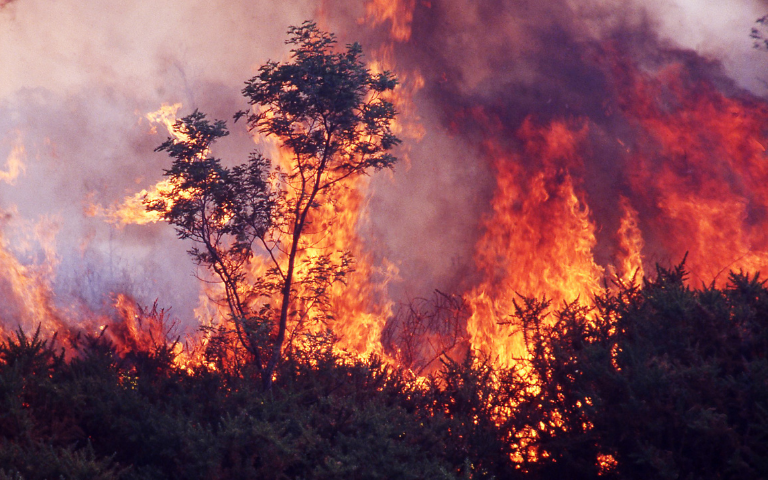 Bushfire Control Image