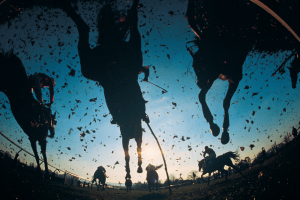 Marble Bar Races