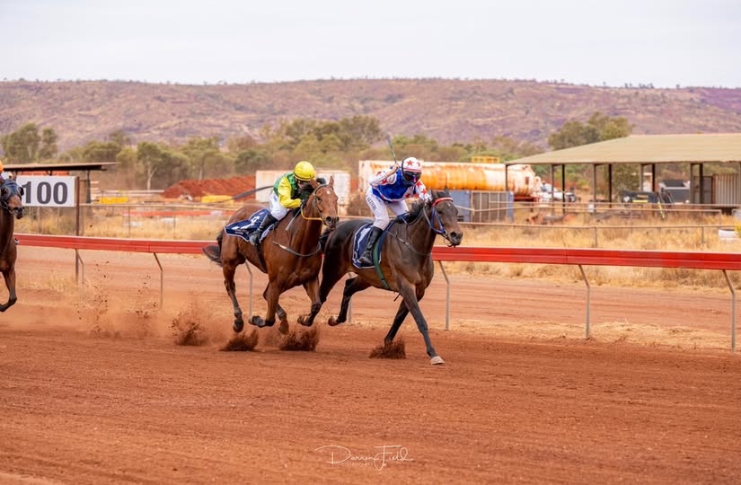 Newman Races 2026